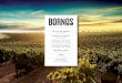 PALACIO DE BORNOS D.O. RUEDA D.O. NAVARRA D.O. RIBERA …€¦ · viñedos en los mejores suelos, con objeto de obtener los mejores vinos. INNOVACIÓN PALACIO DE BORNOS DESARROLLA