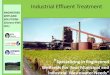 Industrial Effluent Treatment - ENMAN Group · Industrial Effluent Treatment ... SHALE OIL REFINERY –PUMPHERSTON, SCOTLAND Our team designed and constructed a wetland reed bed treatment