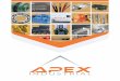 What sets Apex Industrial apart from the masses?€¦ · What sets Apex Industrial apart from the masses? Our approach is to offer a wide selection of quality products while providing