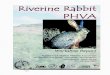 Riverine Rabbit PHVA Final Report 2000 · to sub-optimal areas. Nevertheless, on nine investigated farms Riverine Rabbit specimens were found for the first time. Altogether 43 farms