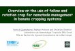 Overview on the use of fallow and rotation crop for ... · replanting with nematode-free banana plants produced by tissue culture” Chabrier & Quénéhervé, 2003. • This inter-cycle