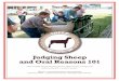 Judging Sheep and Oral Reasons 101 - University of Idaho · Overview This booklet will help youth and beginning producers to understand the four basic criteria for selecting a sheep
