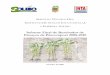 Informe Final de Resultados de Ensayos de Biocompost 2008-2010€¦ · Informe Final de Resultados de Ensayos de Biocompost 2008-2010 Octubre de 2010 . 2 SERVICIO TÉCNICO DEL INSTITUTO