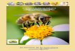 La vida diaria de las abejas nos enseña con su ejemplo a ...€¦ · La vida diaria de las abejas nos enseña con su ejemplo a trabajar por el bien común, a convivir en sociedad,