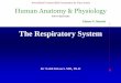 The Respiratory System - كلية الطب€¦ · Copyright © 2003 Pearson Education, Inc. publishing as Benjamin Cummings Blood Supply to Lungs • Lungs are perfused by two circulations: