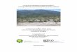 Alluvial Scrub Vegetation of Southern California, A Focus on the … · 2018-03-30 · Alluvial Scrub Vegetation of Southern California, A Focus on the Santa Ana River Watershed In