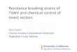 Resistance breaking strains of TSWV and chemical control of … · 2018-03-06 · Resistance breaking strains of TSWV and chemical control of insect vectors. Tom Turini. Fresno County