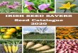 IRISH SEED SAVERS Seed Catalogue 2020 · much like scallions and never forms a bulb. Sometimes known as a ‘Welsh onion’. To harvest you just keep cutting the stems to use Leeks