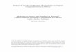 Malcolm D. Spence and Stephen N. Karingi2 United Nations … · Impact of Trade Facilitation Mechanisms on Export Competitiveness in Africa 1 Malcolm D. Spence and Stephen N. Karingi