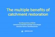 The multiple benefits of catchment restoration...The multiple benefits of catchment restoration Prof Alastair Driver FCIEEM Catchment restoration specialist and ecologist Specialist