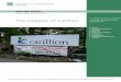 The collapse of Carillion€¦ · 6 The collapse of Carillion . nothing back from the liquidation, because they have low priority in the hierarchy of creditors. Emma Mercer, Carillion’s