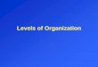 Levels of Organization - All Saints Middle School Science · Levels of Organization. ATOMS •Smallest part of matter •NON-living. Molecules •2 or more bonded atoms •Form compounds