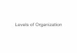 Levels of Organization - Miami Arts Charter · Levels of Organization . REPRO-DUCE GROW AND DEVELOP USE ENERGY RESPOND TO CHANGES MADE UP OF CELLS 5 CHARACH-TERISTICS OF LIVING THINGS