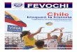 Boletín Informativo de la Federación Chilena de Vóleibol ... · Boletín Informativo de la Federación Chilena de Vóleibol / Nº6 –febrero de 2007 Chile bloqueó la historia