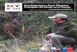Guardaparques y Áreas Silvestres Protegidas del Estado en el … · 2015-10-28 · de Áreas Silvestres Protegidas del Estado, así como para la formación de equipos humanos de
