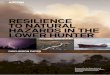 Resilience to Natural Hazards in the Lower Hunder ... · Resilience to Natural Hazards in the Lower Hunter 26 June 2013 i Glossary Term Definition Adaptive Capacity The capacity to