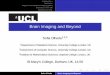 Brain Imaging and Beyond - Durdma0np/prospects09/sofiaolhede.pdf · Introduction Statistics Magnetic Resonance Imaging (MRI) Statistics in the UK Statistics at UCL Brain Imaging and