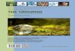 The Caucasus-Economic and Social Analysis Journal of Southern Caucasus