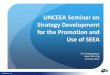 UNCEEA Seminar on Strategy Development for the Promotion ... · UNCEEA Seminar on Strategy Development for the Promotion and Use of SEEA UN Headquarters New York City ... A SEEA SWOT