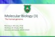 Molecular Biology (3) Molecular Biology (3) The human genome Mamoun Ahram, PhD Walhan Al-Shaer, PhD