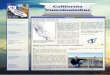 California Cumulonimbus - National Weather ServiceCalifornia Cumulonimbus! The California Cumulonimbus is a biannual newsletter for California CoCoRaHS observers that is issued twice