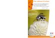 Office Insectes Environnement - OPIE - Février 2016 · 2016-04-13 · Éditorial Faire de la France une terre de pollinisateurs, dans l’intérêt de tous. C’est à notre portée