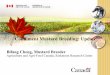 Condiment Mustard Breeding: Update · Condiment Mustard Breeding: Update Bifang Cheng, Mustard Breeder Agriculture and Agri-Food Canada, Saskatoon Research Centre . Outline of the