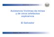 Asistencia Víctimas de minas y de otros artefactos explosivos El SalvadorhttpAssets)/E8405... · 2016-03-08 · El Salvador, Centroamérica Ginebra, Suiza, abril 2009 ANTECEDENTES