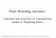 Plant Breeding Systems - Univerzita Karlova · Sexual reproduction in flowering plants Sexual reproduction 1. no need of water for successful reproduction (vs ferns) Evolutionary
