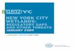NEW YORK CITY WETLANDS - City of New York · NEW YORK CITY WETLANDS POLICY PAPER: JANUARY 2009 3 Summary Wetlands are an important component of the City’s vision for a greener,