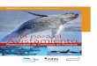 Guía para el Avistamiento - Marvivamarviva.net/sites/default/files/documentos/libro_informativos.pdf · los cetáceos, que pueden ser avistados tanto en su vertiente pacífica como