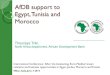 AfDB support to Egypt T, unisia and Morocco · AfDB support to Egypt T, unisia and Morocco International Conference: After the Awakening, Euro-Mediterranean relations and business