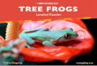 TREE FROGS - Amazon Web Services · A tree frog lives in trees and bushes. It spends almost all its life in a tree. 3. Tree frogs are small. They are so light they can stand on a