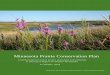 Minnesota Prairie Conservation Planfiles.dnr.state.mn.us/eco/mcbs/mn_prairie_conservation_plan.pdf · In 2016, the partners met again to review and refine the Minnesota Prairie Conservation