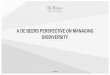 A DE BEERS PERSPECTIVE ON MANAGING BIODIVERSITY meeting doc/GPBB-05/S4a_5... · 2016-02-12 · Confidential 3 The De Beers Group of Companies ENVIRONMENTAL POLICY AND BIODIVERSITY