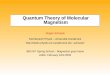 Quantum Theory of Molecular Magnetism - uni-bielefeld.deobelix.physik.uni-bielefeld.de/~schnack/publications/v-juelich-2005.p… · Steven R. White, Phys. Rev. B 48, 10345 (1993)