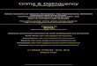 Crime & Delinquency - askffrdking.weebly.com/uploads/2/3/8/7/23875820/crime... · 666 Crime & Delinquency 58(5) The answers to the above questions speak to the debate about the hate