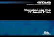 GTAG 11: Developing the IT Audit Plan - IIA COLOMBIA · and Related Technology (COBIT), Third Edition, p. 5. 2. Introduction One of the main responsibilities and more difficult tasks