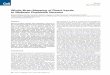 Whole-Brain Mapping of Direct Inputs to Midbrain …brainmind.umin.jp/PDF/wt13/WatabeUchida et al Neuron2012...Whole-Brain Mapping of Direct Inputs to Midbrain Dopamine Neurons Mitsuko
