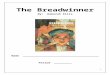 Pre-reading questionnaire – The Breadwinner€¦  · Web viewexile. 160. derision. 162. Vocabulary Review. Directions: Identify the vocabulary word that makes each statement true