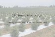 CBD Hemp Production - For Your Information · CBD Hemp Production Shelby Ellison, PhD & Leah Sandler, PhD. Outline •Introduction to CBD •Planting material •Planting considerations