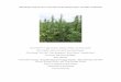2018 Hemp Trials for New York State Grain, Dual Purpose, and Fiber Production · 2019-03-11 · Hemp (Cannabis sativa) is a multipurpose crop that grows well in New York State (NYS).Hemp