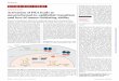 CANCER BIOLOGY Activation of PKA leads to mesenchymal-to ... · RESEARCH ARTICLE CANCER BIOLOGY Activation of PKA leads to mesenchymal-to-epithelial transition and loss of tumor-initiating