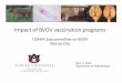 Impact of BVDV vaccination programs - USAHA...=Bull breeding =Estrus synchronization Wean 75 heifer calves (5 to 7 m of age) Day 0 BVDV PI exposure (Days 715 to 731) TAI (Day 214)