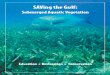 Submerged Aquatic VegetationWelcome to the fascinating world of Submerged Aquatic Vegetation (SAV). This manual introduces the majestic ... teers to become involved in restoring grass