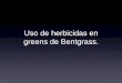 Uso de herbicidas en greens de Bentgrass. - AAG€¦ · En un soporte de césped, el herbicida es capturado por el follaje y se debe quitar con la irrigación / precipitaciones para