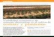 Revista Vida Rural, ISSN: 1133-8938...Cuando un agricultor decide la reconversión de su explotación de agricultura convencional a agricultura ecológica, son muchas las dudas y problemas