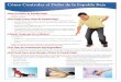 Cómo Controlar el Dolor de la Espalda Baja · Cualquier dolor o molestia que pueda sentir en el área baja de la espalda o la columna vertebral. ¿Qué Puede Causar Dolor de Espalda