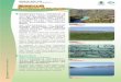 Hong Kong Wetland Park Factsheet No. 2 · PDF file Hong Kong Wetland Park Factsheet No. 2 Functions of Wetlands Wetlands are places where land and water meet. Wetlands come in many