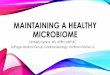 Maintaining a Healthy Microbiome - snapaprn.org a Healthy Microbiome update.… · (VSL 3 or Visbiome) 900 billion CFU per packet-RX needed f IBS-D: 1/4-1/2 PPD UC: maintenance: ½-1